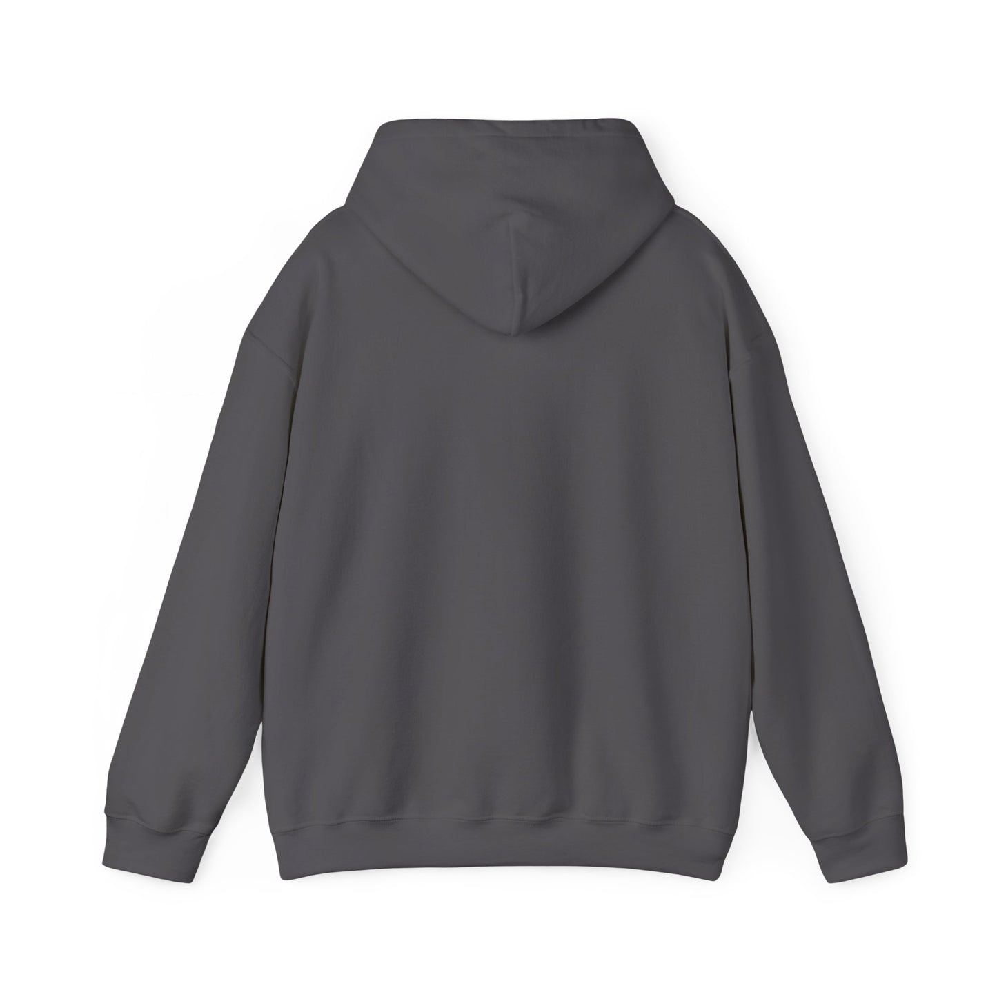 Graphic Hoodie — “Mt. Fuji Sunset” Design — Japanese Streetwear Clothing