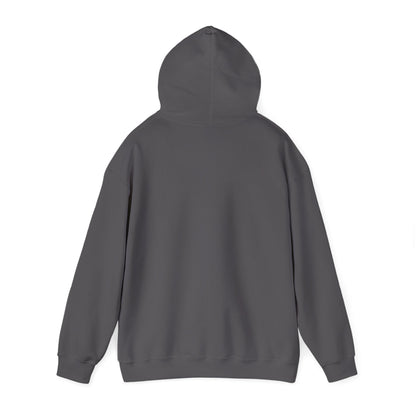 Graphic Hoodie — “Mt. Fuji Sunset” Design — Japanese Streetwear Clothing